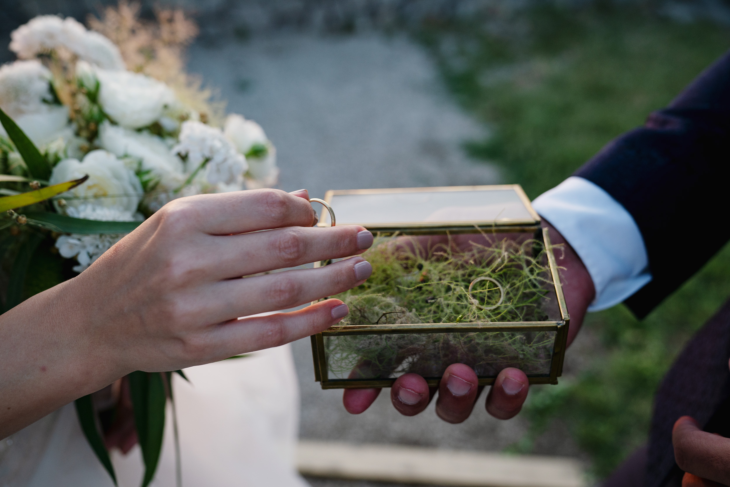 wed 2372 co12373 copia